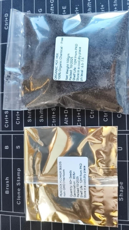 Vibrant Peacock Flower Seeds