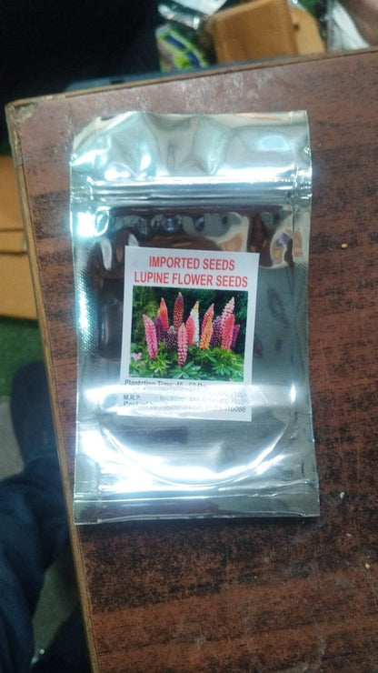 Lupine Blossoms – Premium Flower Seeds